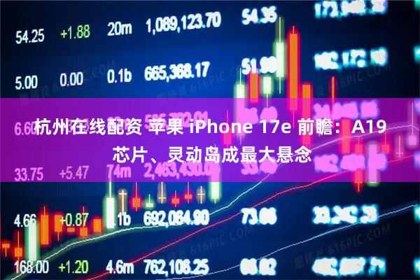 杭州在线配资 苹果 iPhone 17e 前瞻：A19 芯片、灵动岛成最大悬念