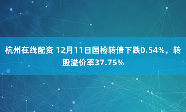 杭州在线配资 12月11日国检转债下跌0.54%，转股溢价率37.75%