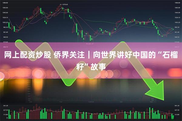 网上配资炒股 侨界关注｜向世界讲好中国的“石榴籽”故事